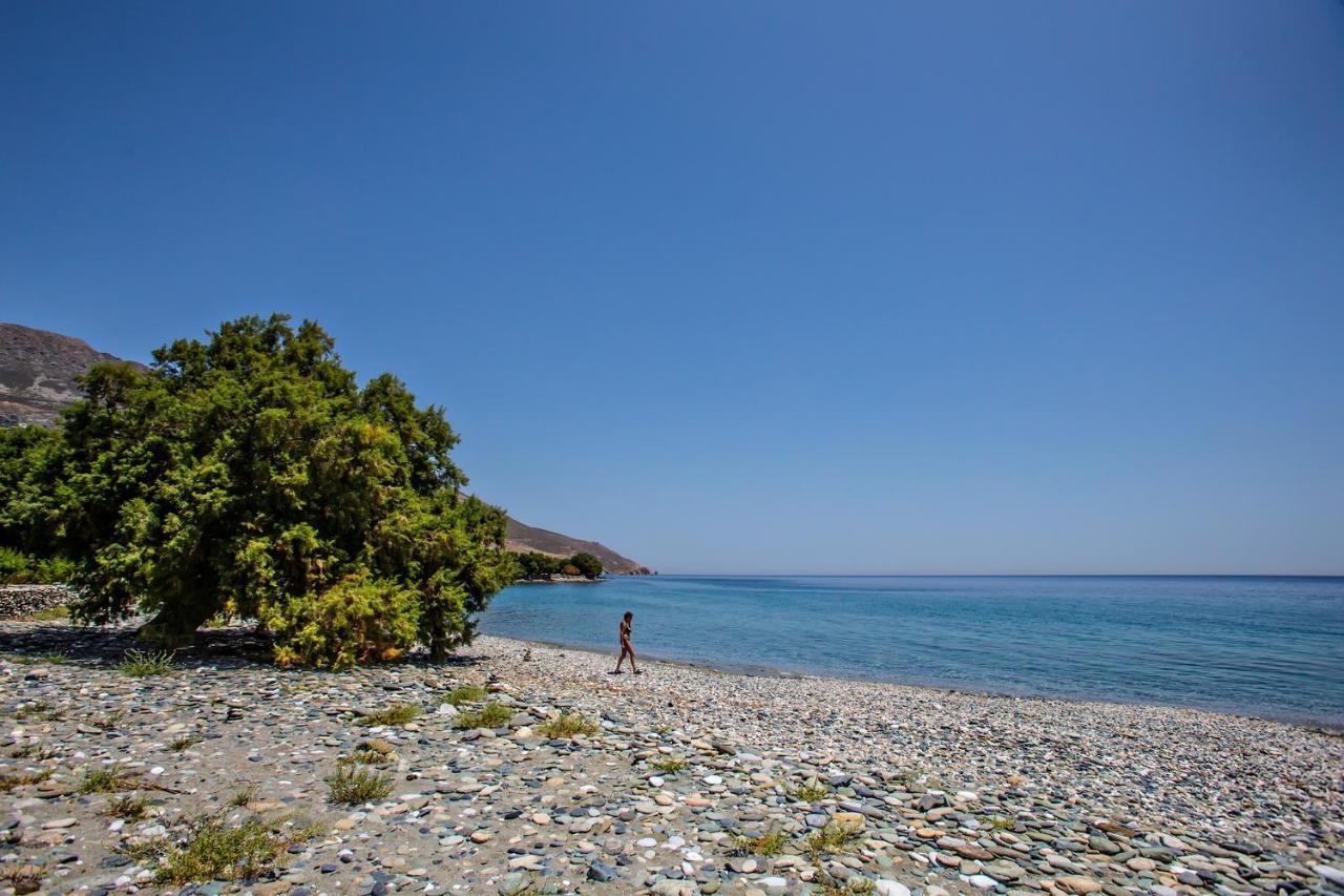 Unforgettable Tinos Complex