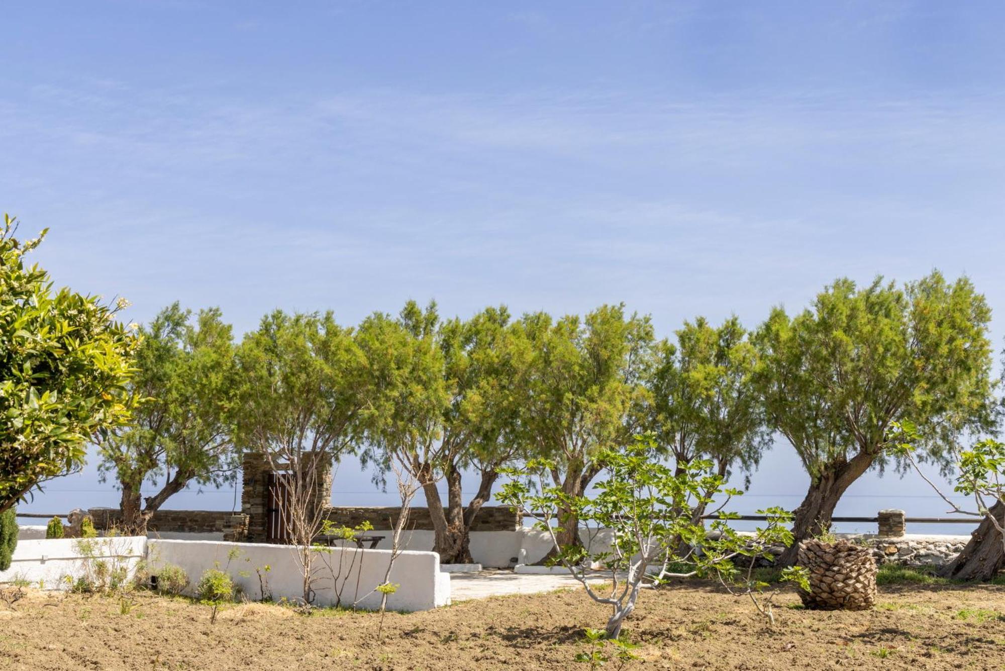 Unforgettable Tinos Complex Apartment Agios Ioannis (Tinos)