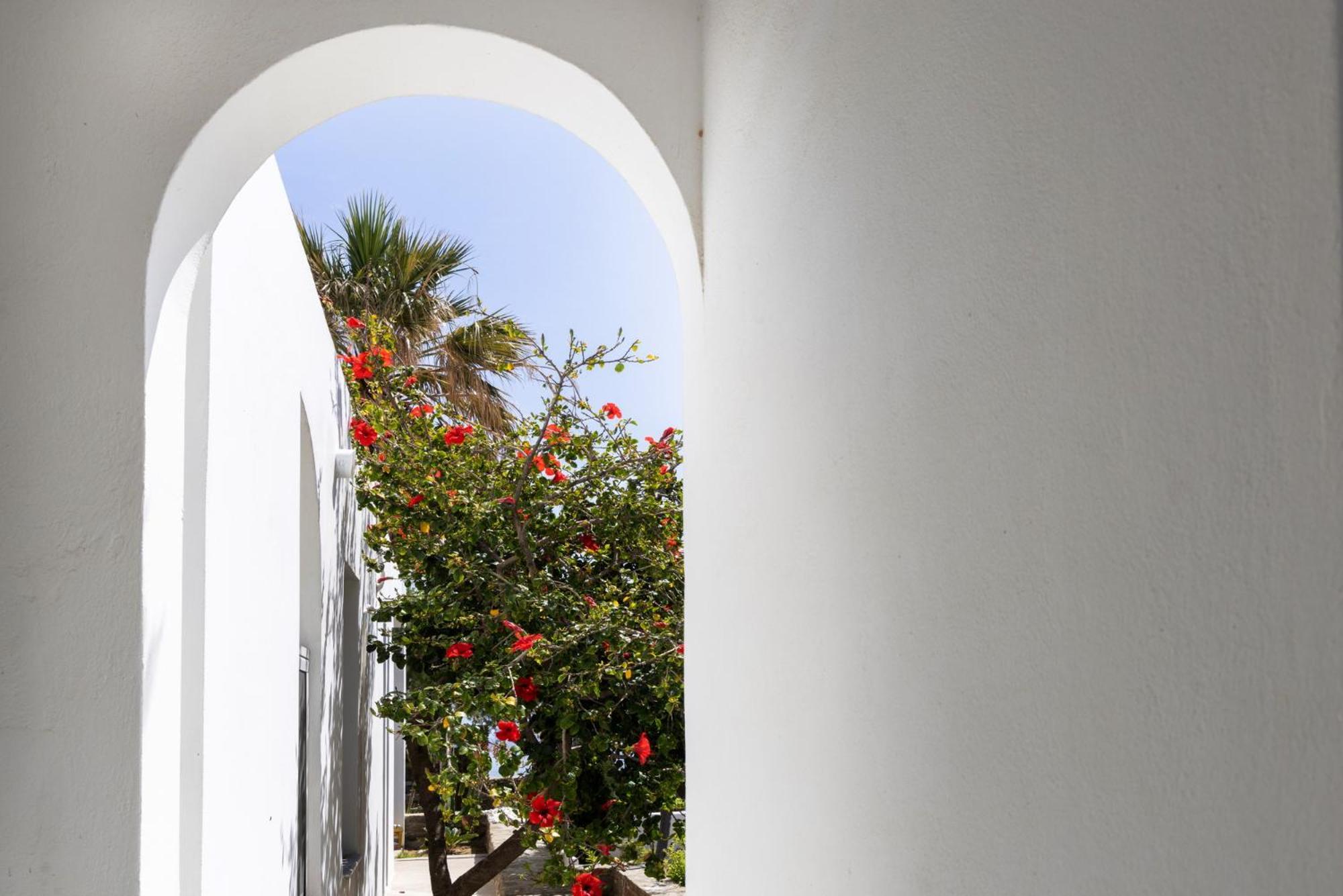 Apartment Unforgettable Tinos Complex *