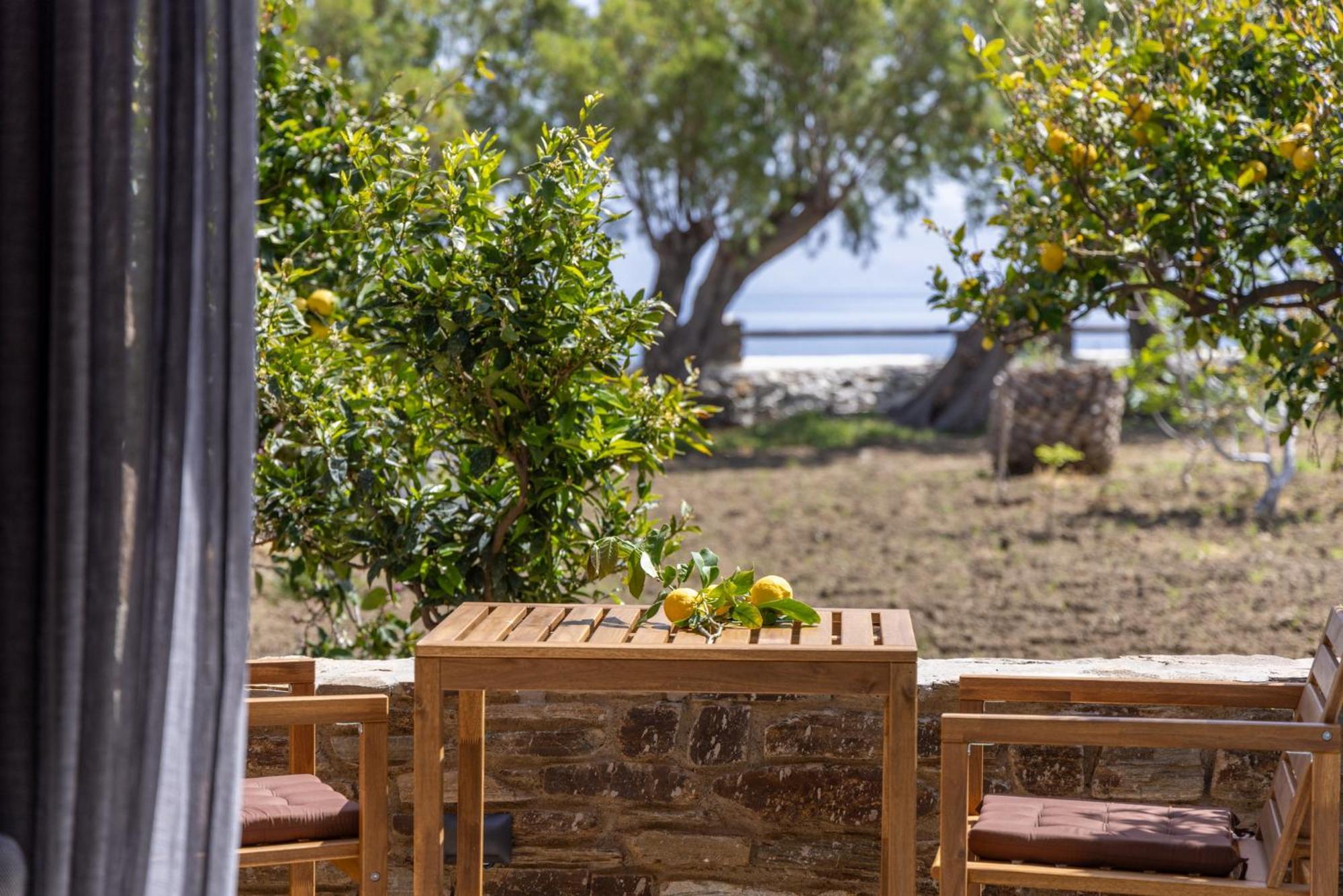 Unforgettable Tinos Complex Apartment *